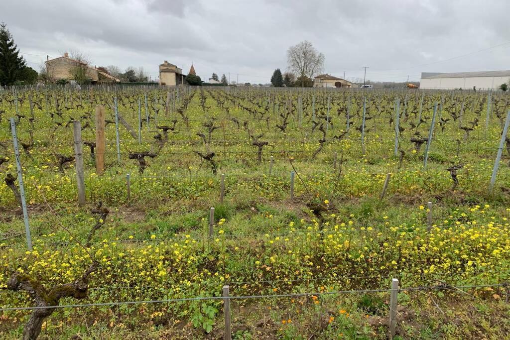 Chateau Roseyrol Proche Saint-Emilion Exteriér fotografie
