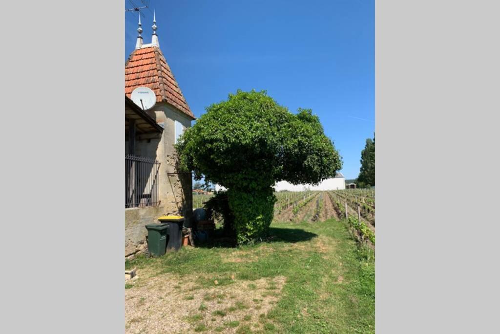 Chateau Roseyrol Proche Saint-Emilion Exteriér fotografie