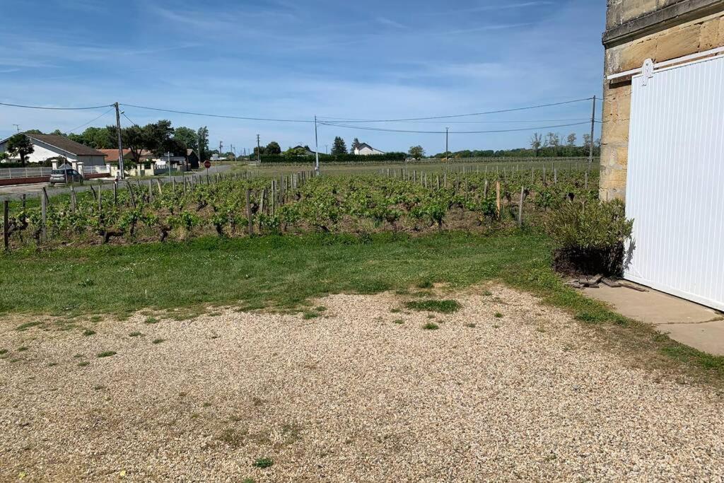 Chateau Roseyrol Proche Saint-Emilion Exteriér fotografie